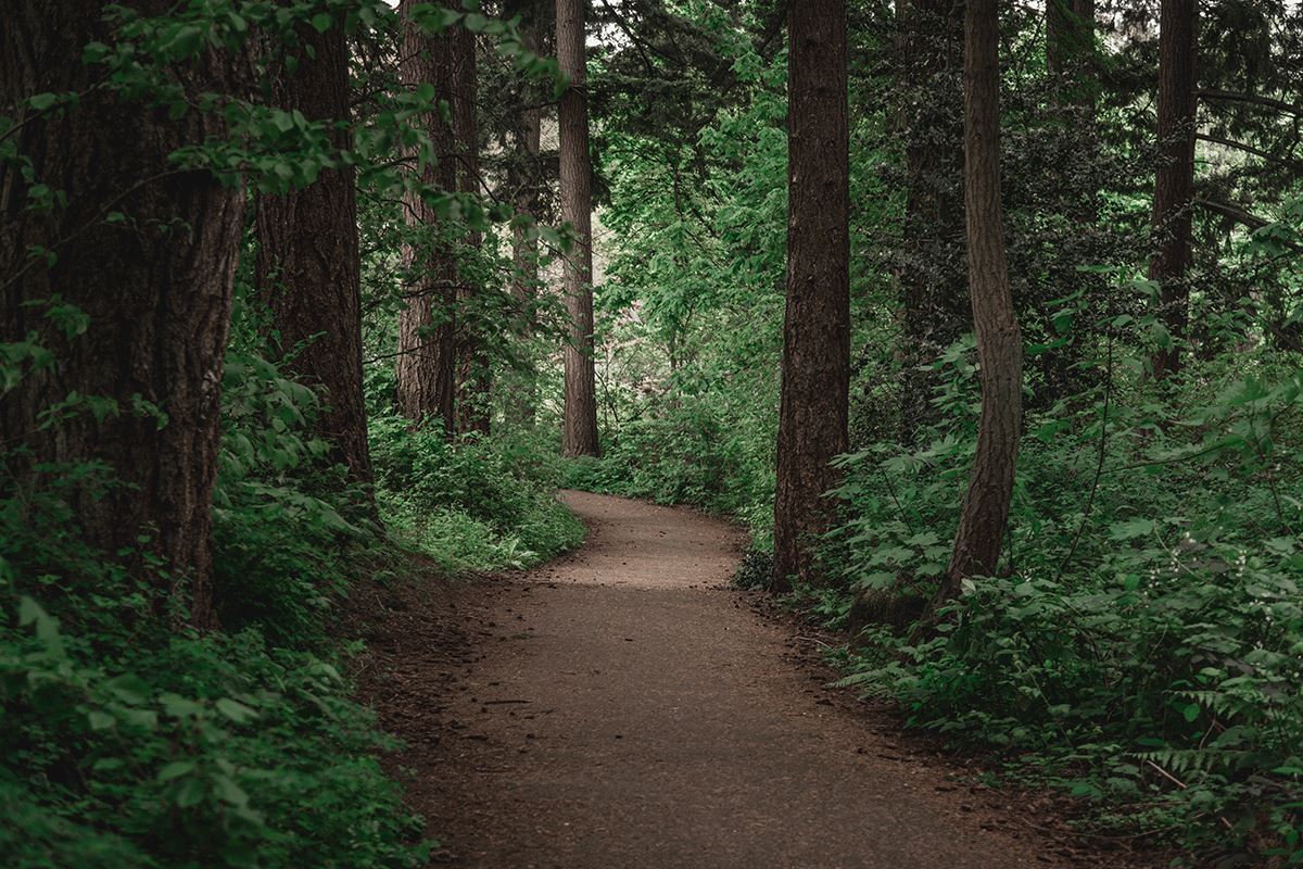 Woman hiking in forest 