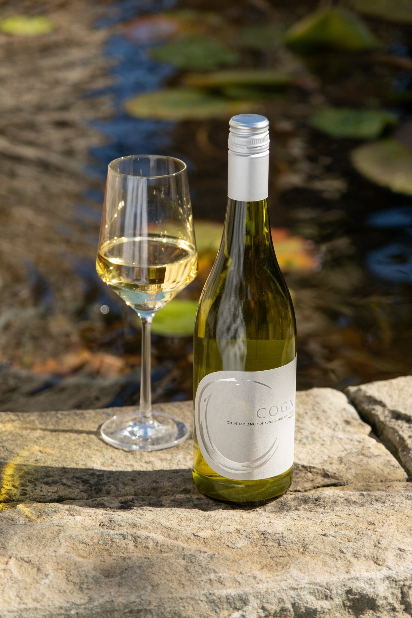 
                  
                    Cognato Chenin Blanc
                  
                