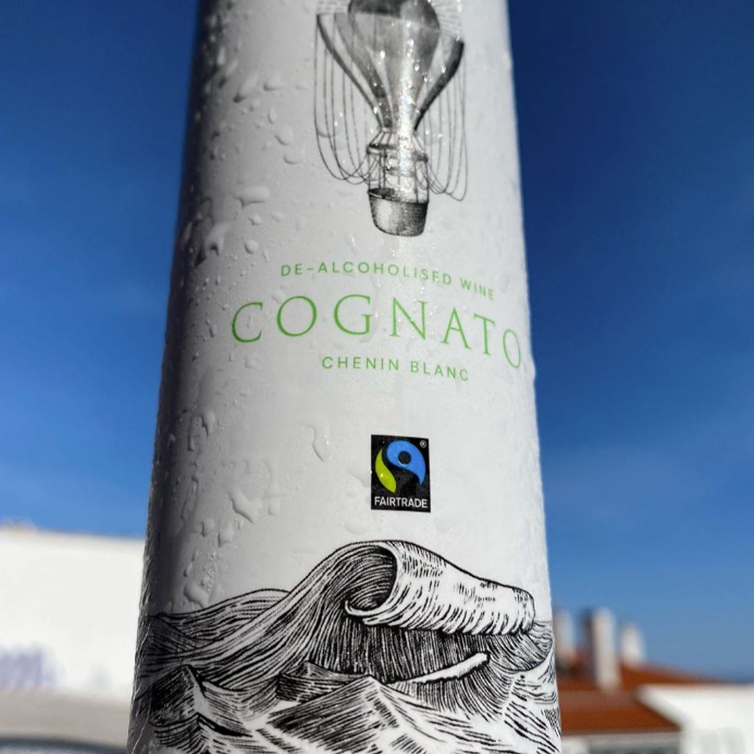 Cognato Examples Cognato – Clearsips