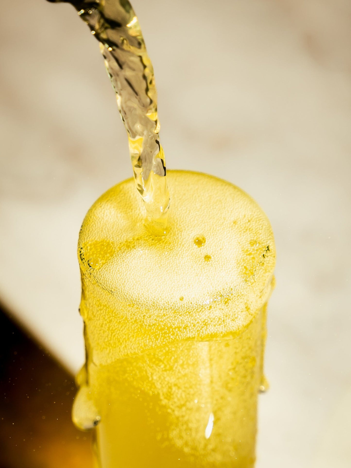 
                  
                    Casa Piñata Mimosa Shrub
                  
                