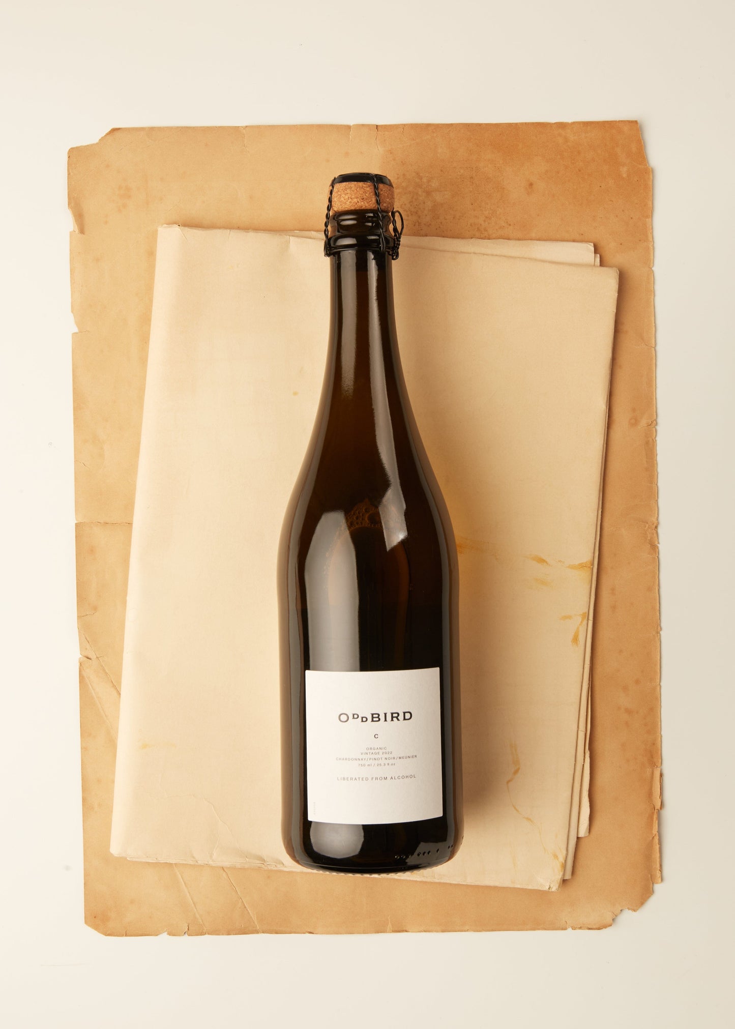 
                  
                    Oddbird C
                  
                
