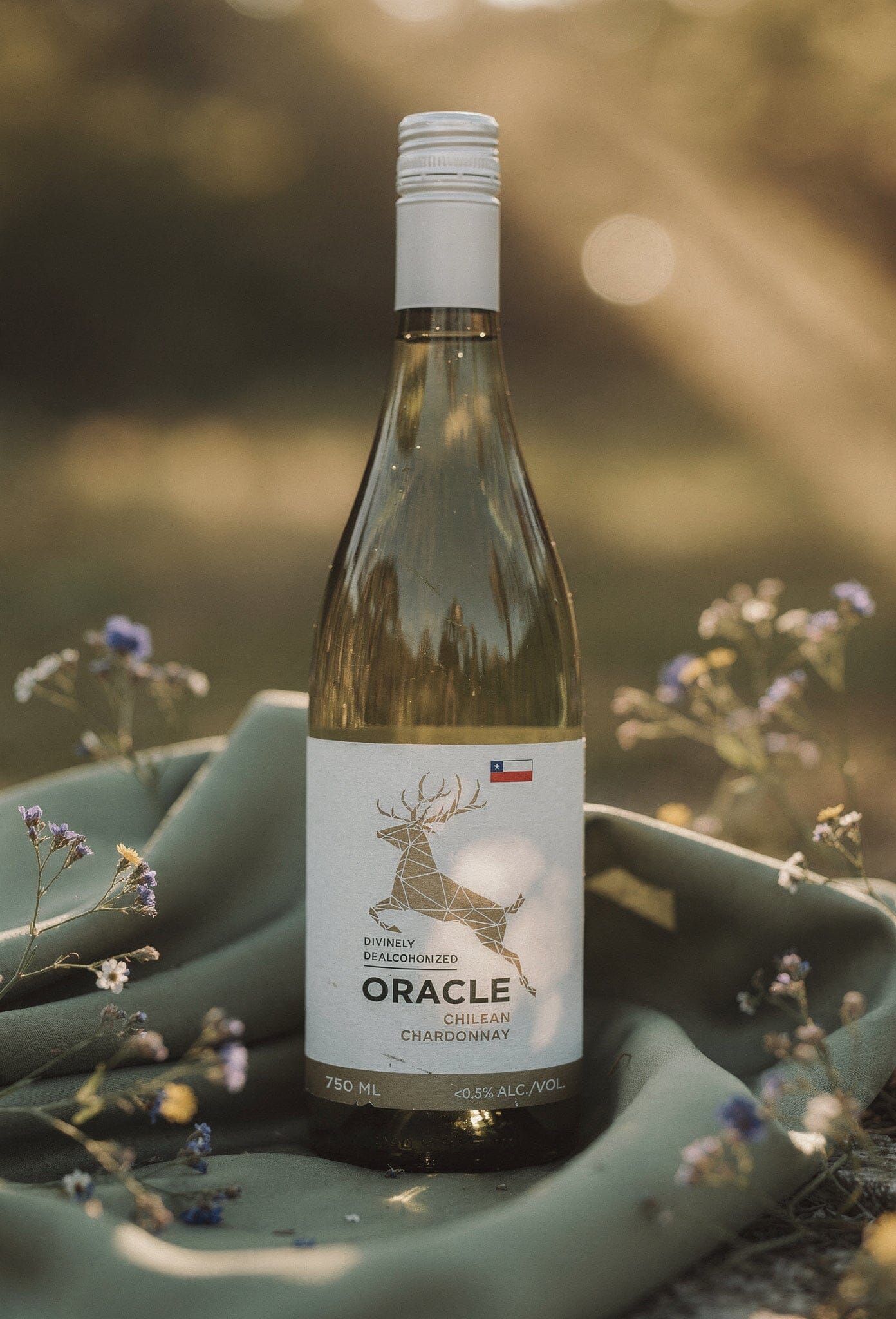 
                  
                    Oracle Chilean Chardonnay
                  
                