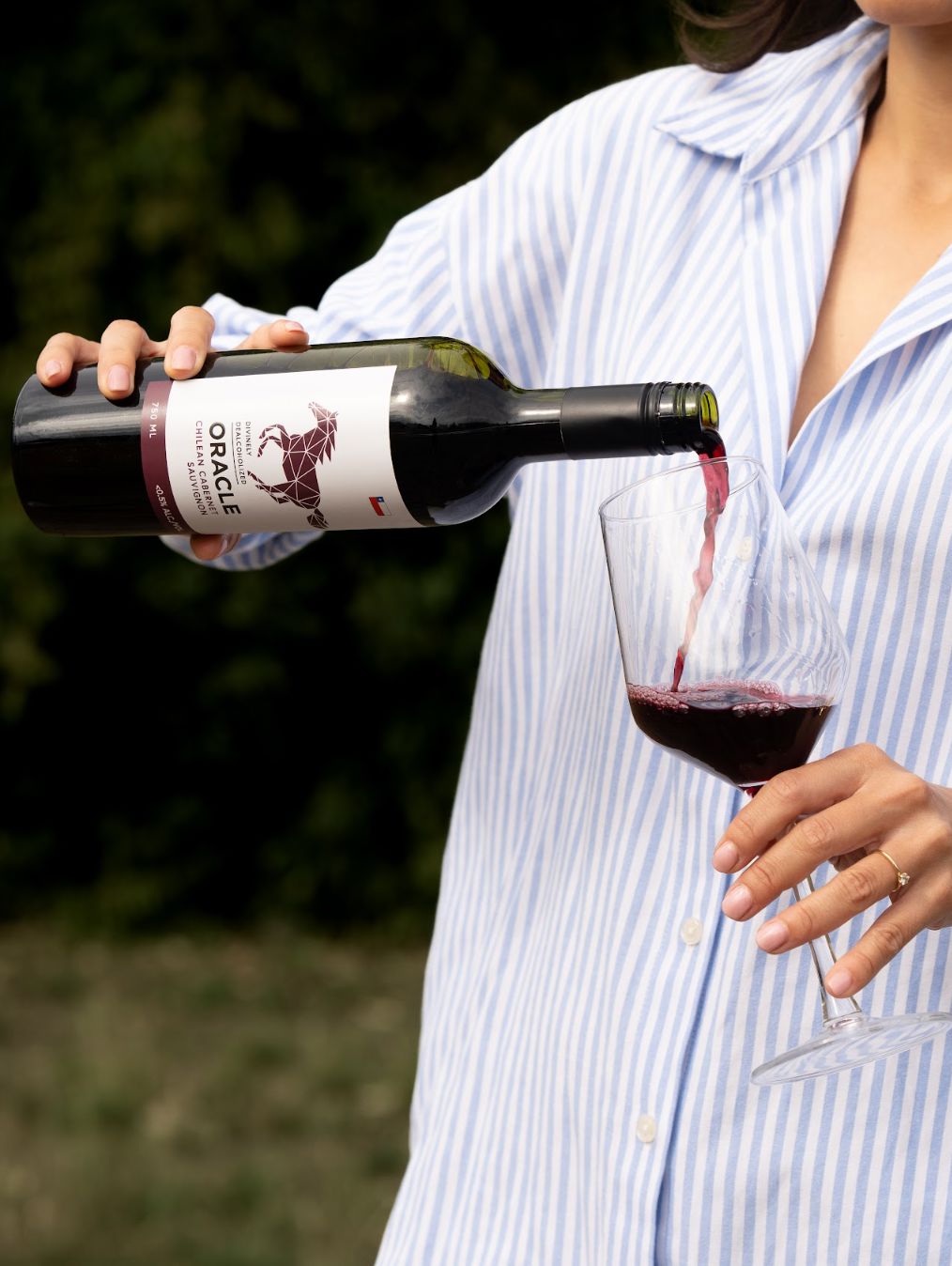 
                  
                    Oracle Chilean Cabernet Sauvignon
                  
                