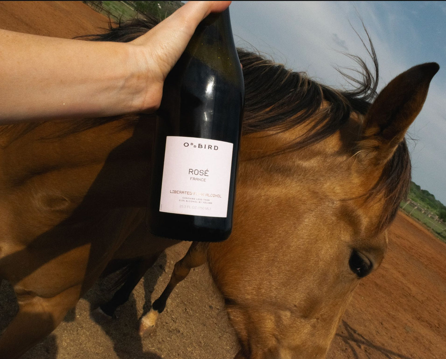
                  
                    Oddbird Sparkling Rosé
                  
                