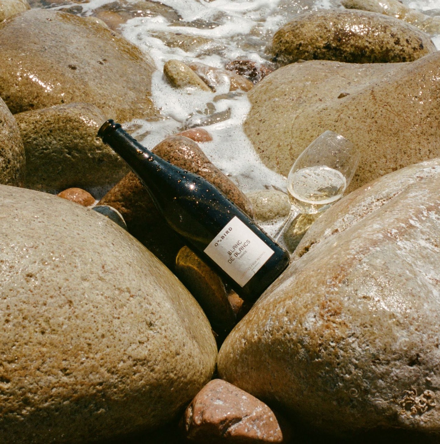 
                  
                    Oddbird Blanc de Blancs
                  
                