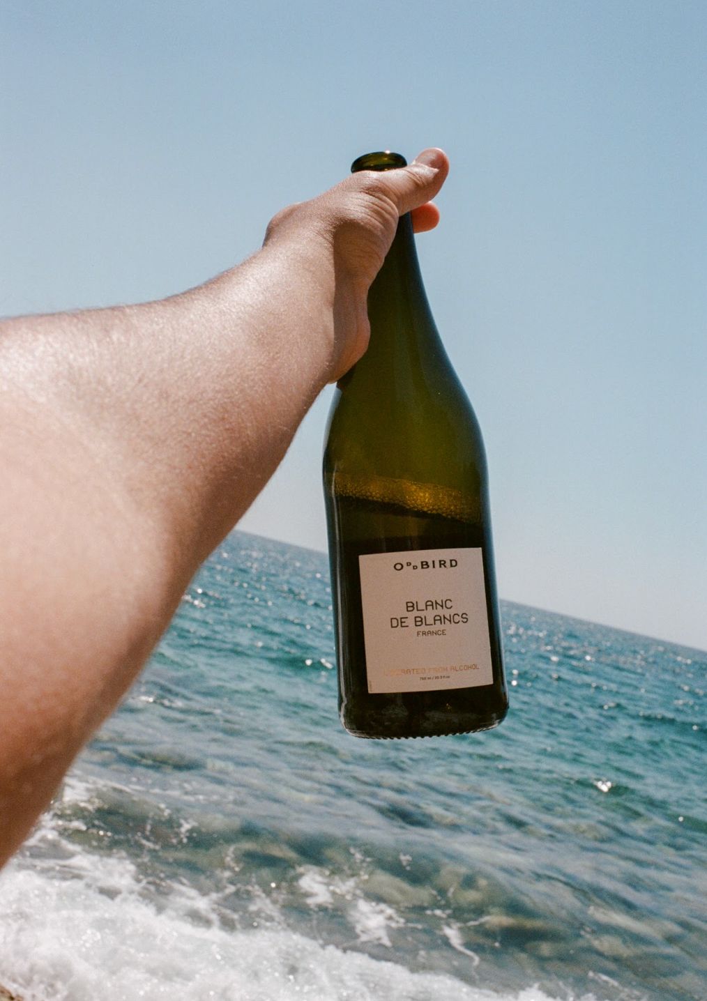 
                  
                    Oddbird Blanc de Blancs
                  
                
