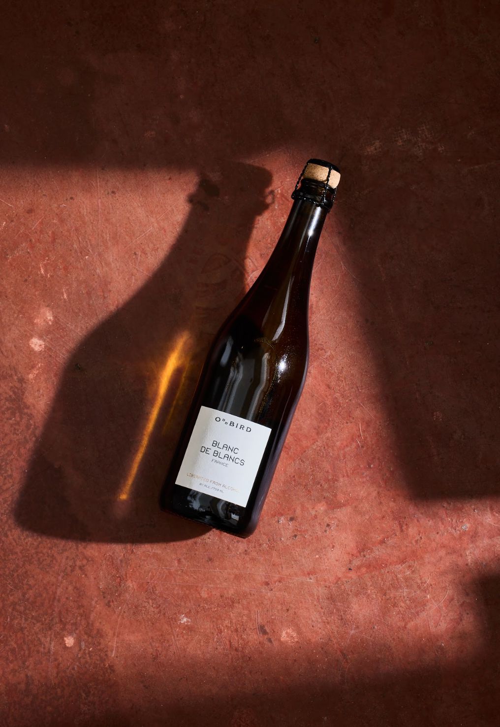 
                  
                    Oddbird Blanc de Blancs
                  
                